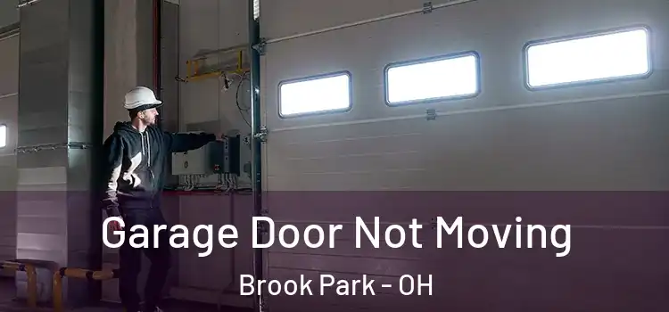  Garage Door Not Moving Brook Park - OH