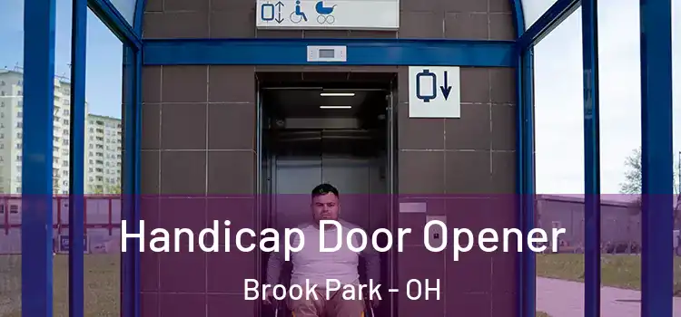  Handicap Door Opener Brook Park - OH