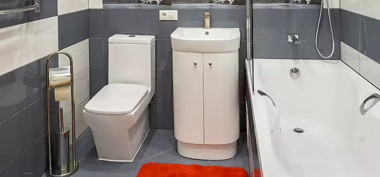 Hansgrohe Shaving Mirror Brook Park